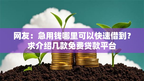 网友：急用钱哪里可以快速借到？求介绍几款免费贷款平台