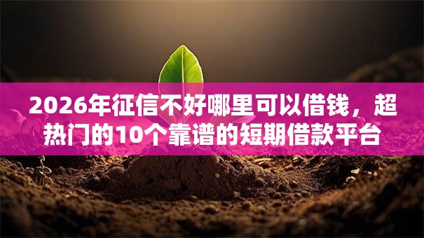 2026年征信不好哪里可以借钱,超热门的10个靠谱的短期借款平台推荐 2026年征信不好哪里可以借钱,超热门的10个靠谱的短期借款平台推荐