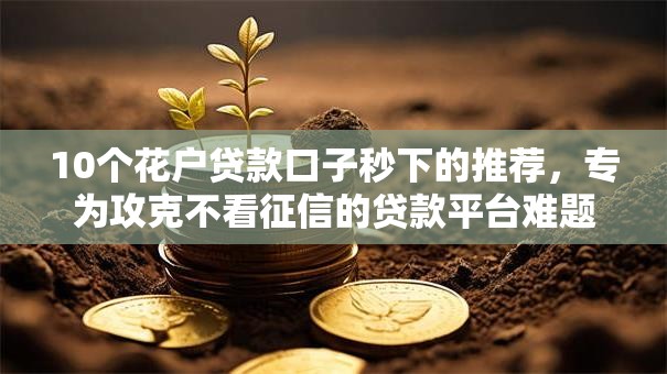 10个花户贷款口子秒下的推荐，专为攻克不看征信的贷款平台难题