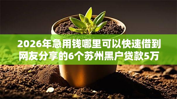 2026年急用钱哪里可以快速借到网友分享的6个苏州黑户贷款5万的平台我觉得不错！