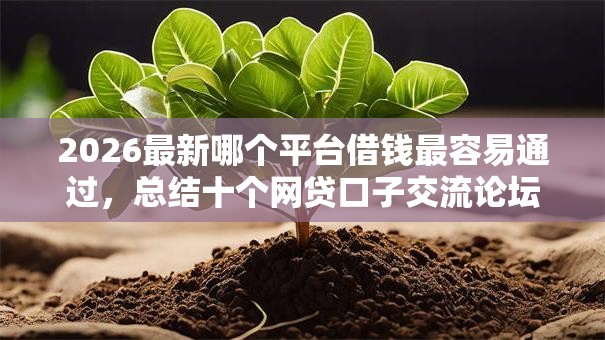 2026最新哪个平台借钱最容易通过,总结十个网贷口子交流论坛! 2026最新哪个平台借钱最容易通过,总结十个网贷口子交流论坛!