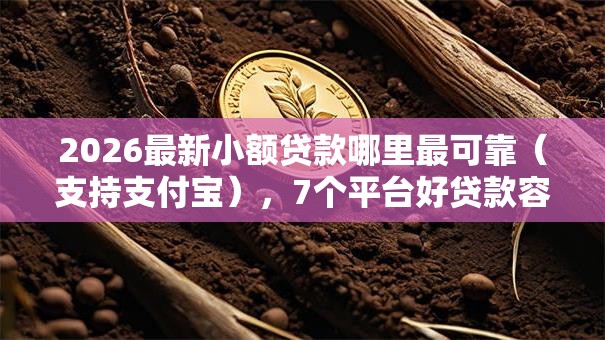 2026最新小额贷款哪里最可靠（支持支付宝），7个平台好贷款容易通过无私分享