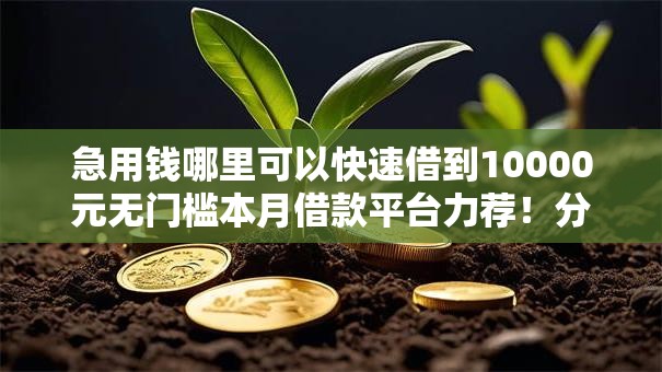 急用钱哪里可以快速借到10000元无门槛本月借款平台力荐！分享小额网贷口子10000元无门槛借款