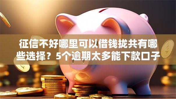 征信不好哪里可以借钱拢共有哪些选择？5个逾期太多能下款口子详解