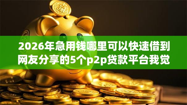 2026年急用钱哪里可以快速借到网友分享的5个p2p贷款平台我觉得不错！