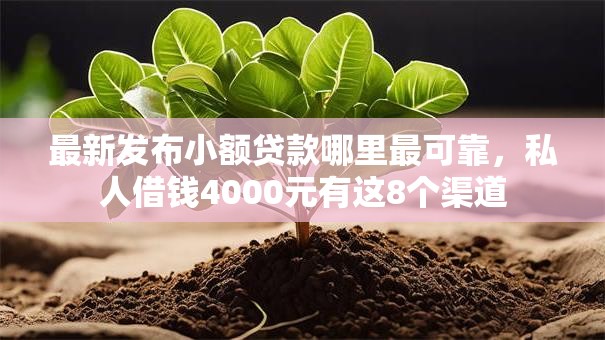 最新发布小额贷款哪里最可靠,私人借钱4000元有这8个渠道 最新发布小额贷款哪里最可靠,私人借钱4000元有这8个渠道