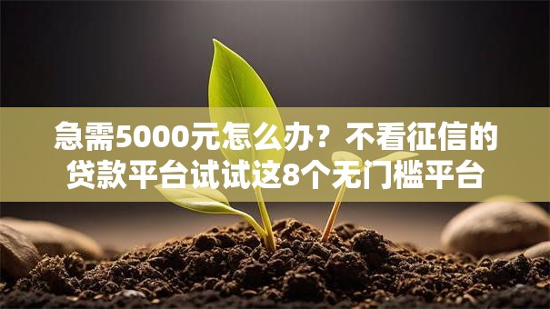 急需5000元怎么办?不看征信的贷款平台试试这8个无门槛平台 急需5000元怎么办?不看征信的贷款平台试试这8个无门槛平台