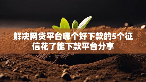 解决网贷平台哪个好下款的5个征信花了能下款平台分享 解决网贷平台哪个好下款的5个征信花了能下款平台分享