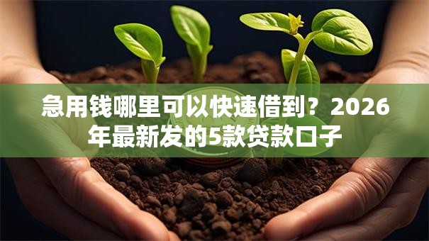 急用钱哪里可以快速借到？2026年最新发的5款贷款口子