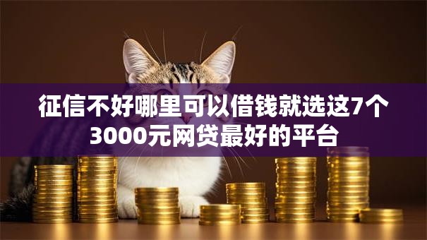征信不好哪里可以借钱就选这7个3000元网贷最好的平台