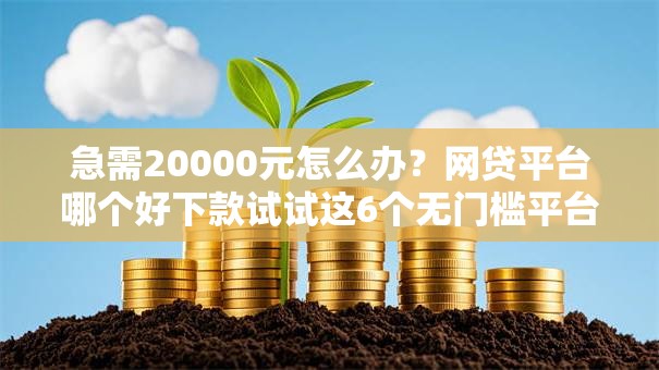 急需20000元怎么办？网贷平台哪个好下款试试这6个无门槛平台