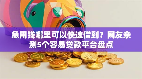 急用钱哪里可以快速借到？网友亲测5个容易贷款平台盘点