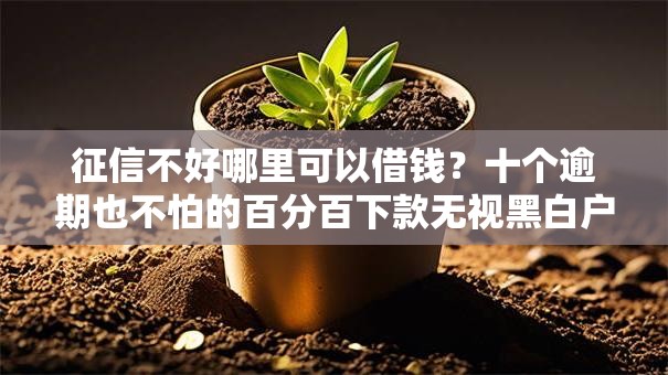 征信不好哪里可以借钱?十个逾期也不怕的百分百下款无视黑白户网贷软件 征信不好哪里可以借钱?十个逾期也不怕的百分百下款无视黑白户网贷软件