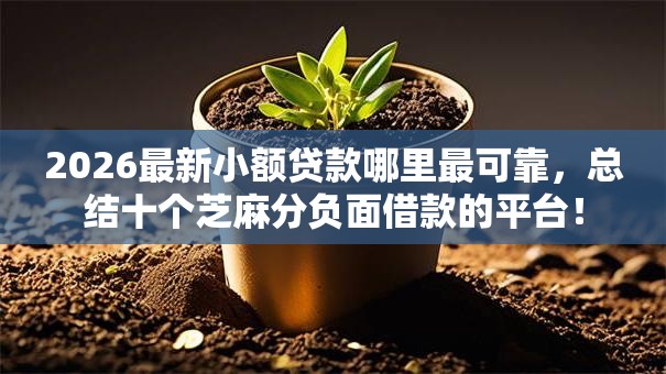 2026最新小额贷款哪里最可靠，总结十个芝麻分负面借款的平台！