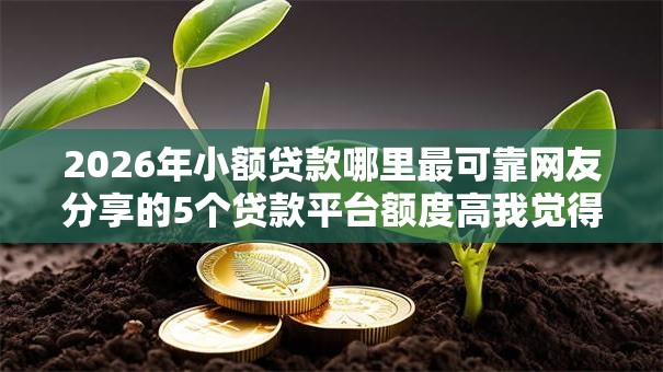 2026年小额贷款哪里最可靠网友分享的5个贷款平台额度高我觉得不错! 2026年小额贷款哪里最可靠网友分享的5个贷款平台额度高我觉得不错!