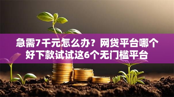 急需7千元怎么办?网贷平台哪个好下款试试这6个无门槛平台 急需7千元怎么办?网贷平台哪个好下款试试这6个无门槛平台