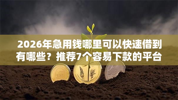 2026年急用钱哪里可以快速借到有哪些？推荐7个容易下款的平台