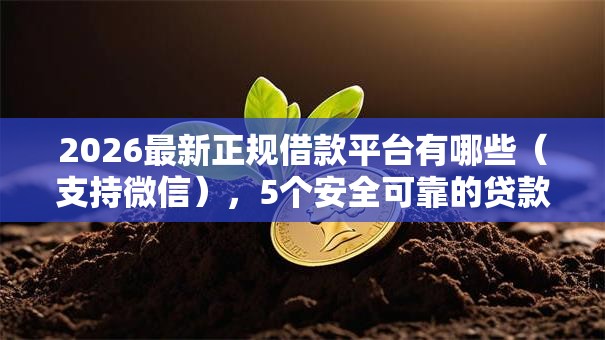 2026最新正规借款平台有哪些（支持微信），5个安全可靠的贷款平台无私分享