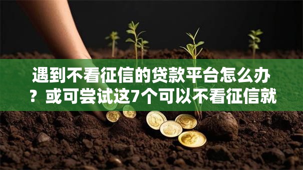 遇到不看征信的贷款平台怎么办？或可尝试这7个可以不看征信就能下款的平台