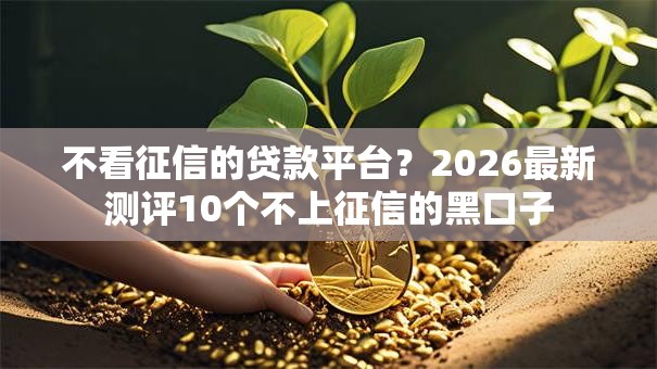 不看征信的贷款平台？2026最新测评10个不上征信的黑口子