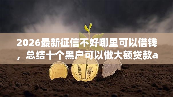 2026最新征信不好哪里可以借钱,总结十个黑户可以做大额贷款app! 2026最新征信不好哪里可以借钱,总结十个黑户可以做大额贷款app!