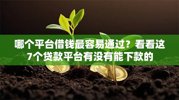哪个平台借钱最容易通过？看看这7个贷款平台有没有能下款的