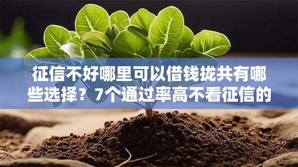 征信不好哪里可以借钱拢共有哪些选择？7个通过率高不看征信的贷款平台详解