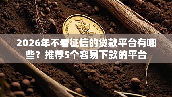 2026年不看征信的贷款平台有哪些？推荐5个容易下款的平台