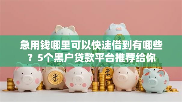 急用钱哪里可以快速借到有哪些?5个黑户贷款平台推荐给你 急用钱哪里可以快速借到有哪些?5个黑户贷款平台推荐给你