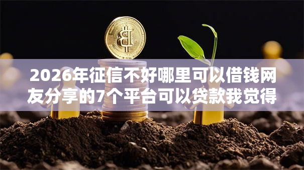 2026年征信不好哪里可以借钱网友分享的7个平台可以贷款我觉得不错！