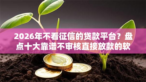 2026年不看征信的贷款平台?盘点十大靠谱不审核直接放款的软件 2026年不看征信的贷款平台?盘点十大靠谱不审核直接放款的软件