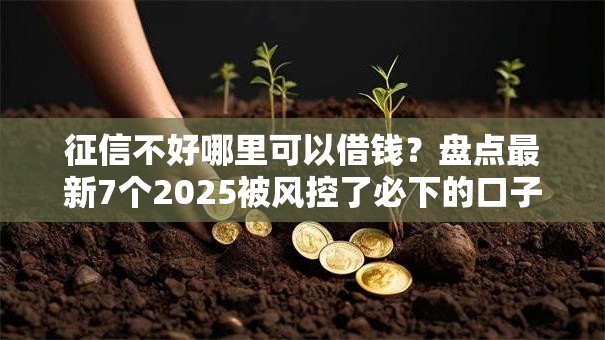 征信不好哪里可以借钱？盘点最新7个2025被风控了必下的口子