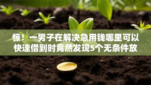 惊!一男子在解决急用钱哪里可以快速借到时竟然发现5个无条件放款的平台网站,事后分享了出来 惊!一男子在解决急用钱哪里可以快速借到时竟然发现5个无条件放款的平台网站,事后分享了出来