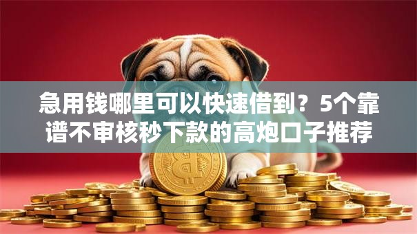 急用钱哪里可以快速借到？5个靠谱不审核秒下款的高炮口子推荐