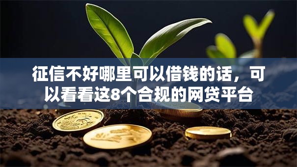 征信不好哪里可以借钱的话，可以看看这8个合规的网贷平台