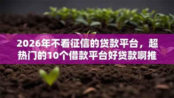 2026年不看征信的贷款平台，超热门的10个借款平台好贷款啊推荐