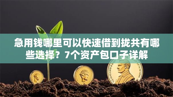 急用钱哪里可以快速借到拢共有哪些选择？7个资产包口子详解
