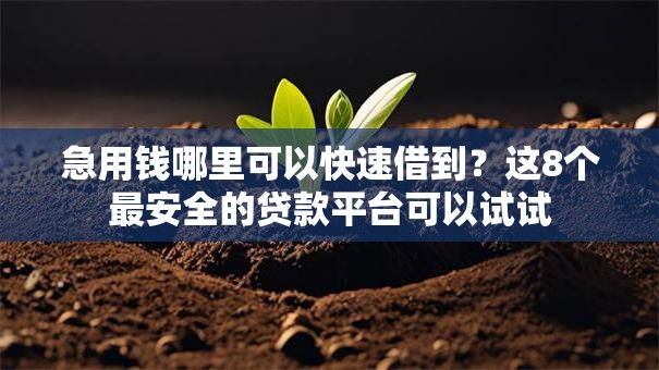 急用钱哪里可以快速借到?这8个最安全的贷款平台可以试试 急用钱哪里可以快速借到?这8个最安全的贷款平台可以试试