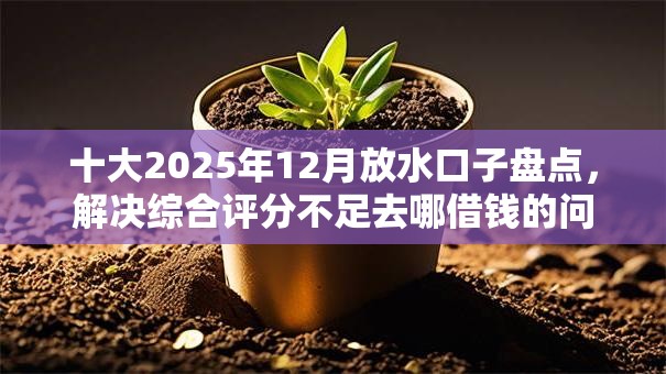 十大2025年12月放水口子盘点,解决综合评分不足去哪借钱的问题 十大2025年12月放水口子盘点,解决综合评分不足去哪借钱的问题