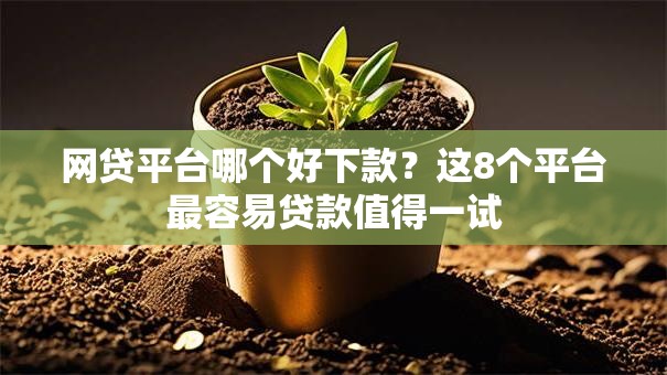网贷平台哪个好下款？这8个平台最容易贷款值得一试