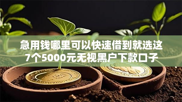 急用钱哪里可以快速借到就选这7个5000元无视黑户下款口子 急用钱哪里可以快速借到就选这7个5000元无视黑户下款口子