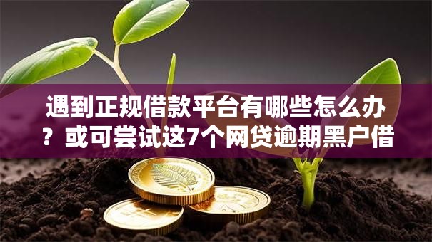 遇到正规借款平台有哪些怎么办?或可尝试这7个网贷逾期黑户借钱的平台能借 遇到正规借款平台有哪些怎么办?或可尝试这7个网贷逾期黑户借钱的平台能借