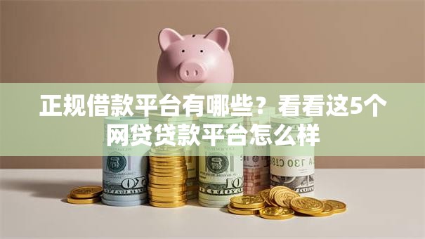正规借款平台有哪些？看看这5个网贷贷款平台怎么样