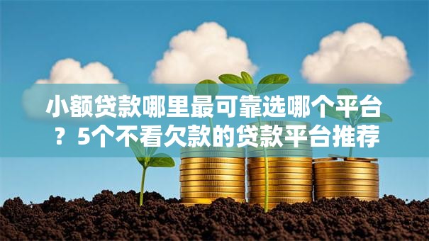 小额贷款哪里最可靠选哪个平台?5个不看欠款的贷款平台推荐 小额贷款哪里最可靠选哪个平台?5个不看欠款的贷款平台推荐
