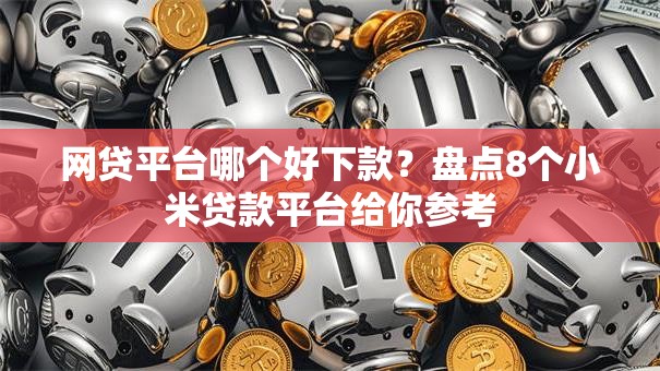 网贷平台哪个好下款？盘点8个小米贷款平台给你参考