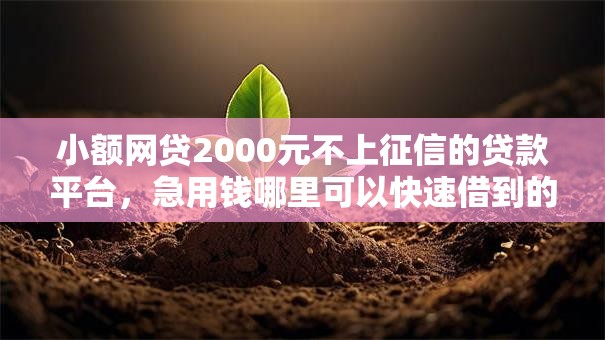 小额网贷2000元不上征信的贷款平台,急用钱哪里可以快速借到的6个平台介绍 小额网贷2000元不上征信的贷款平台,急用钱哪里可以快速借到的6个平台介绍