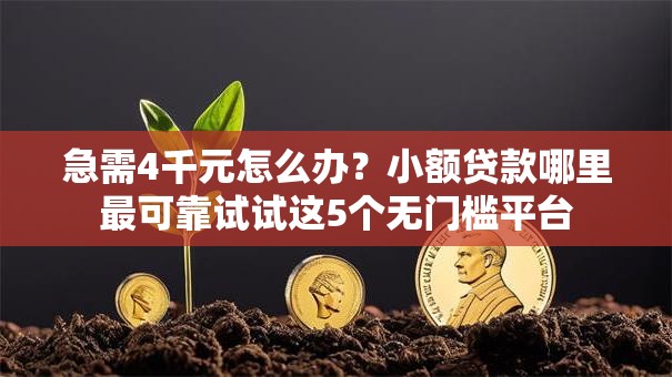 急需4千元怎么办?小额贷款哪里最可靠试试这5个无门槛平台 急需4千元怎么办?小额贷款哪里最可靠试试这5个无门槛平台