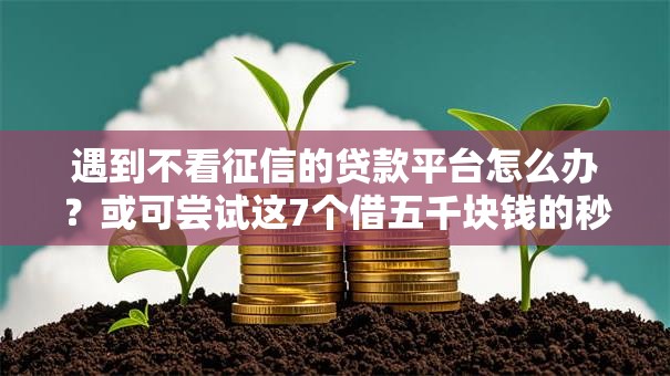 遇到不看征信的贷款平台怎么办?或可尝试这7个借五千块钱的秒下的贷款平台 遇到不看征信的贷款平台怎么办?或可尝试这7个借五千块钱的秒下的贷款平台