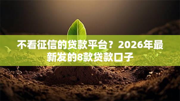 不看征信的贷款平台?2026年最新发的8款贷款口子 不看征信的贷款平台?2026年最新发的8款贷款口子
