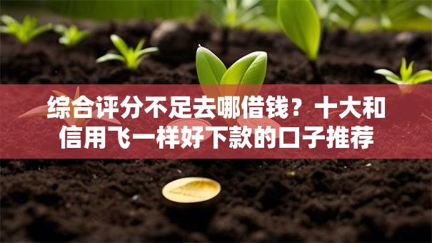 综合评分不足去哪借钱？十大和信用飞一样好下款的口子推荐